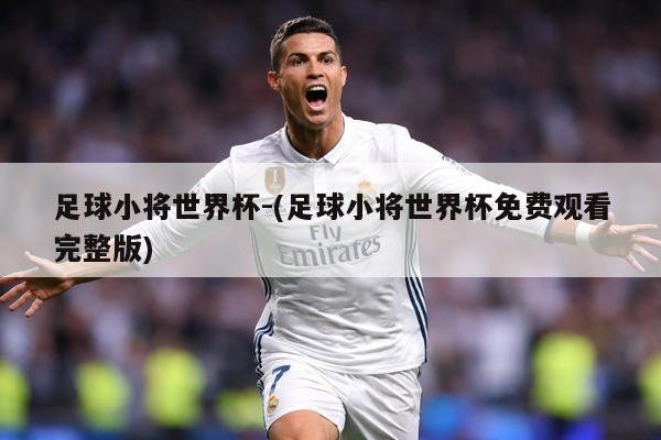 足球小将世界杯-(足球小将世界杯免费观看完整版)