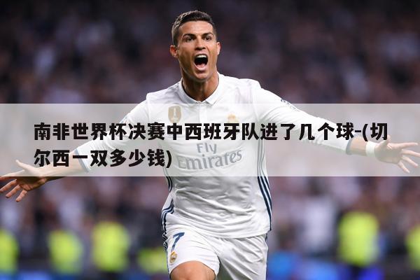 南非世界杯决赛中西班牙队进了几个球-(切尔西一双多少钱)