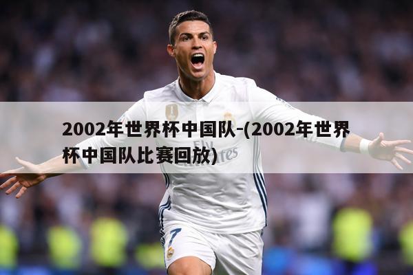 2002年世界杯中国队-(2002年世界杯中国队比赛回放)