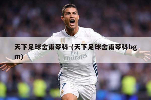 天下足球舍甫琴科-(天下足球舍甫琴科bgm)