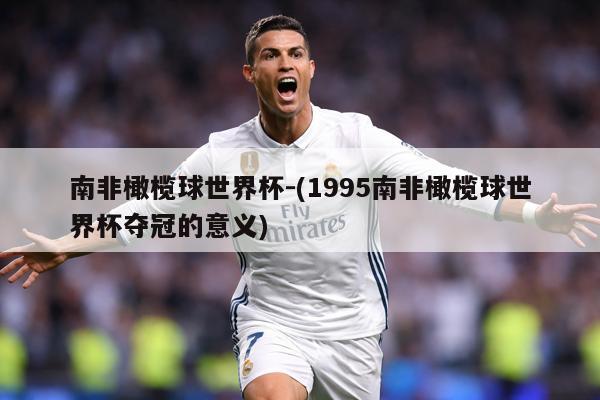 南非橄榄球世界杯-(1995南非橄榄球世界杯夺冠的意义)