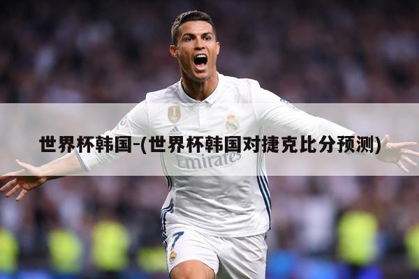 世界杯韩国-(世界杯韩国对捷克比分预测)
