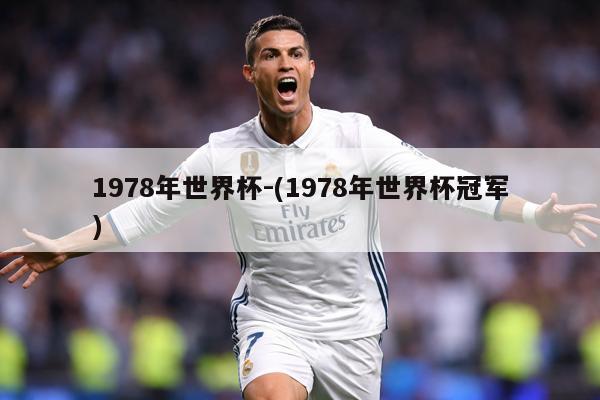 1978年世界杯-(1978年世界杯冠军)