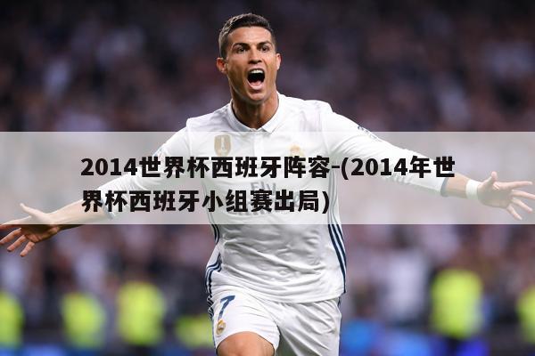 2014世界杯西班牙阵容-(2014年世界杯西班牙小组赛出局)